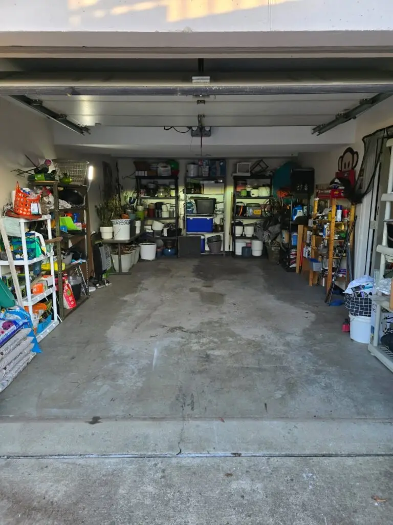After — an empty concrete floor with shelving along both walls and plant pots sorted on the back racks, garage in Park Hills, KY