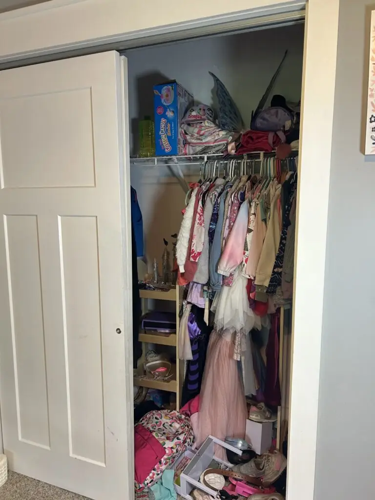 Before — a crammed hanging rail with shoes, dress-ups and toys piled on the floor, bedroom closet in Covington, KY